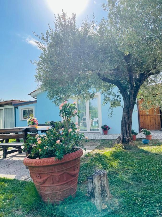 B&B La Rosa Nel Verde Lucca Kültér fotó
